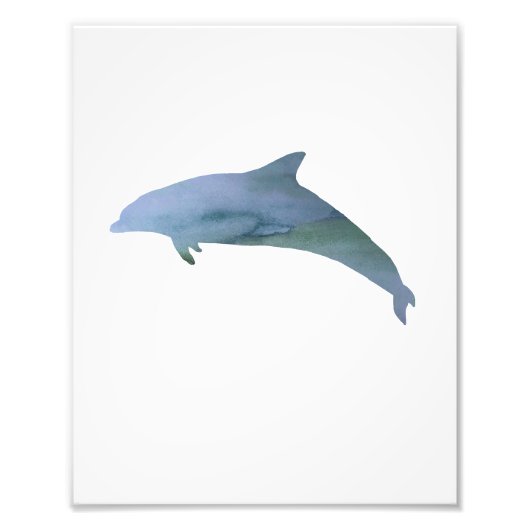 Impression Photo Aquarelle couleur dauphin (Devant)
