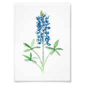 Impression Photo Aquarelle et stylet bleu (Devant)