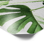 Impression Photo Aquarelle Feuilles verts (Coin)