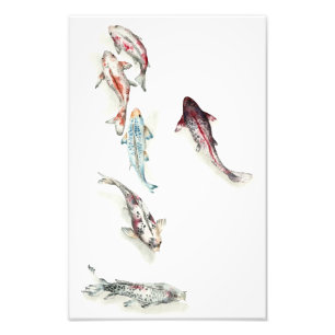 Impression Photo Aquarelle Koi Fish