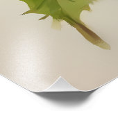 Impression Photo Aquarelle Oiseau coloré - Peint à la main (Coin)