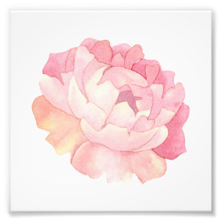Impression Photo Aquarelle Peony