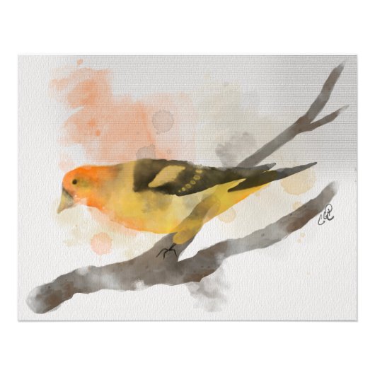 Impression Photo Aquarelle Western Tanager Branche des oiseaux jaun (Devant)