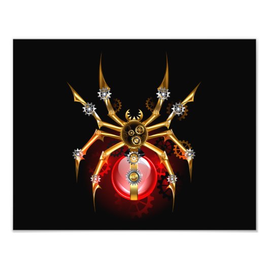 Impression Photo Araignée en vapeur noire (Devant)
