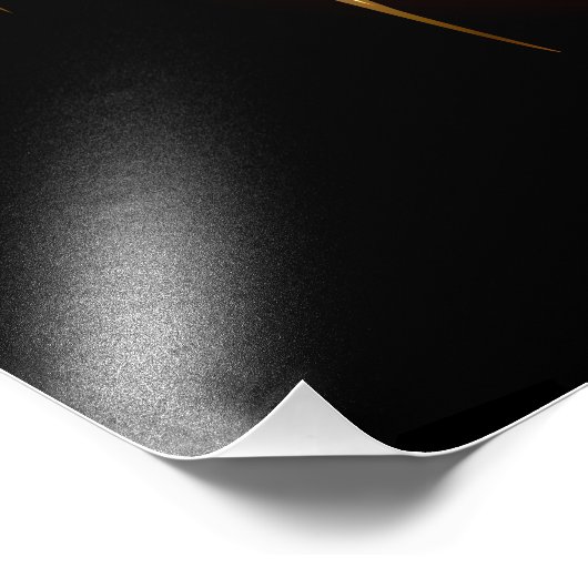 Impression Photo Araignée en vapeur noire (Coin)