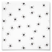 Impression Photo Araignées (Devant)