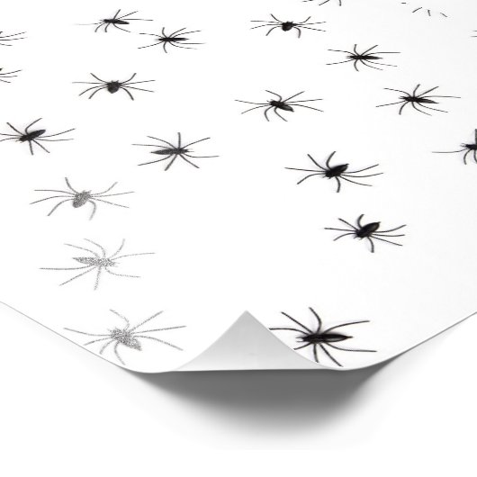 Impression Photo Araignées (Coin)