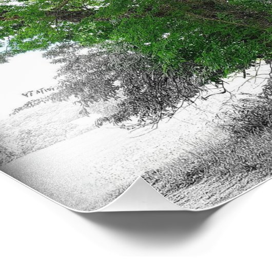 Impression Photo Arborescence (Coin)