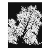 Impression Photo arbre (Devant)