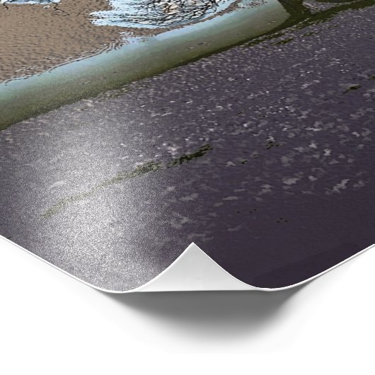 IMPRESSION PHOTO ARBRE (Coin)