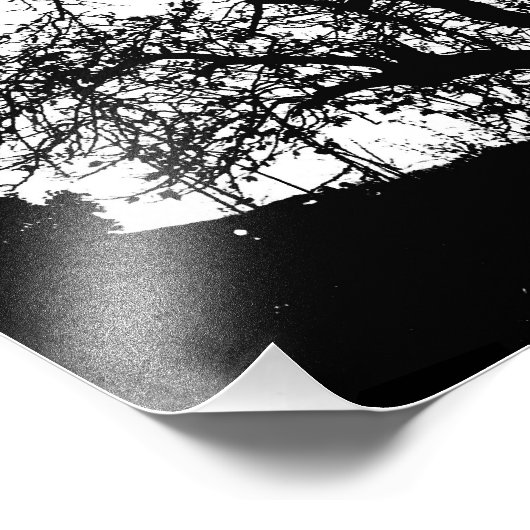 Impression Photo arbre (Coin)