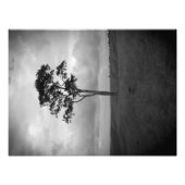 Impression Photo Arbre (Devant)