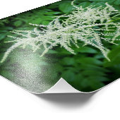 Impression Photo Arbre à fleurs Fleurs blanches Feuilles verts (Coin)