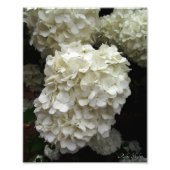 Impression Photo Arbre à neige (Devant)