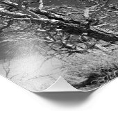 Impression Photo Arbre à Yellowstone (Coin)