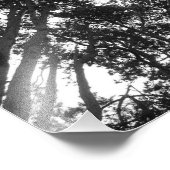 Impression Photo Arbre, Bute Park, Cardiff (Coin)