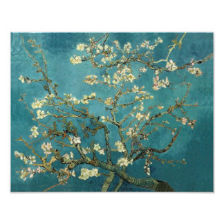 Impression Photo Arbre d'amande en fleurs - Van Gogh