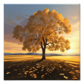 Impression Photo Arbre d'automne solitaire : une touche de tranquil (Devant)