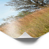 Impression Photo Arbre de chêne et prairie d'herbe haute (Coin)