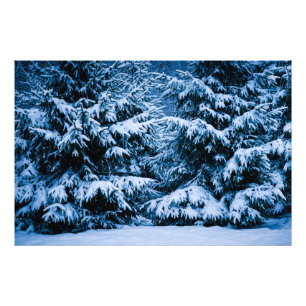 Impression Photo Arbre de Noël de la forêt d'hiver