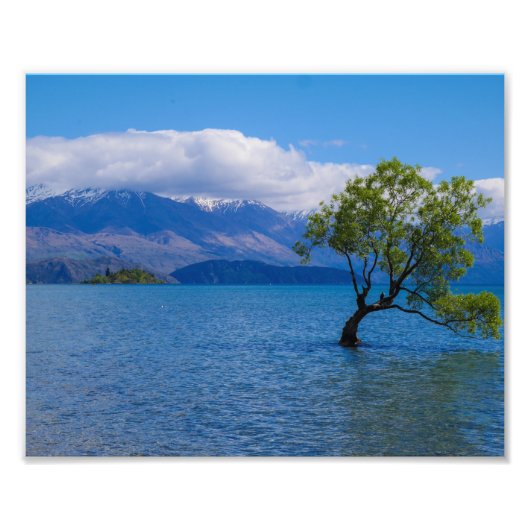 Impression Photo Arbre de Wanaka, lac Wanaka, Nouvelle-Zélande - Ph (Devant)