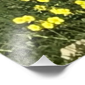 Impression Photo Arbre d'olive en position Yoga (Coin)