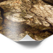 Impression Photo Arbre écorce II Conception texturée naturelle (Coin)