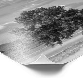 Impression Photo Arbre Lone, Idaho Wilder (Coin)