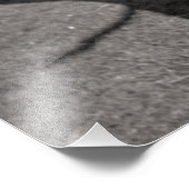 Impression Photo Arbre mort (Coin)