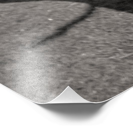 Impression Photo Arbre mort (Coin)