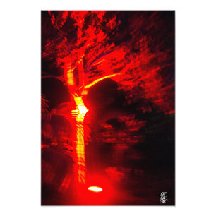 Impression Photo Arbre rouge