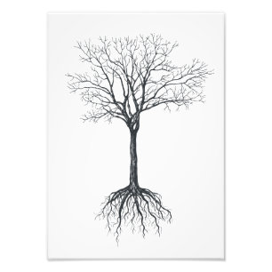 Impression Photo Arbre sans feuille