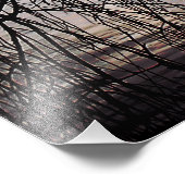 IMPRESSION PHOTO ARBRE SAUVAGE D'HIVER (Coin)