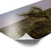 Impression Photo Arbre Solitaire (Coin)
