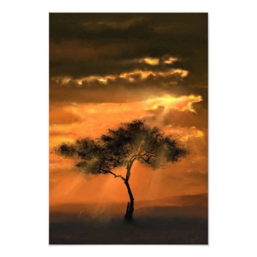 Impression Photo Arbre solitaire Poutres de soleil Coucher de solei (Devant)
