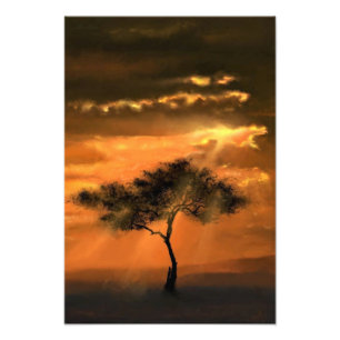 Impression photo Arbre solitaire Rayons de soleil