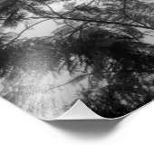 Impression Photo Arbre tropical Noir et blanc dans le brouillard (Coin)