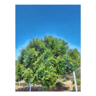 Impression Photo Arbre vert verdoyant contre le ciel bleu vif