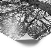 Impression Photo Arbre vieux abstrait (Coin)