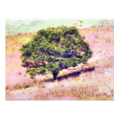 IMPRESSION PHOTO ARBRES (Devant)