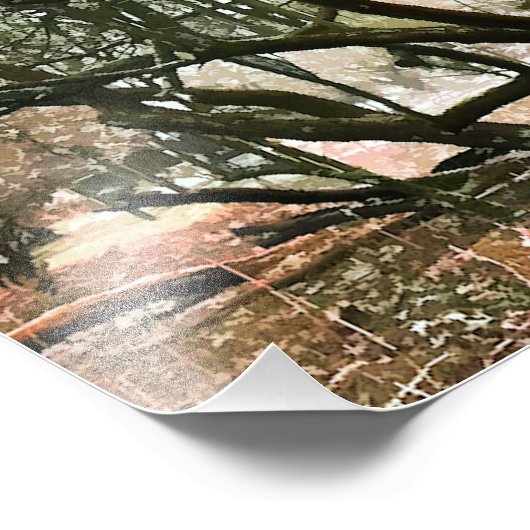 IMPRESSION PHOTO ARBRES (Coin)