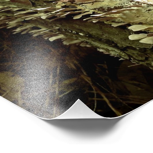 Impression Photo Arbres (Coin)