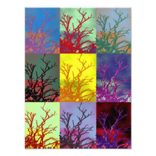 IMPRESSION PHOTO ARBRES