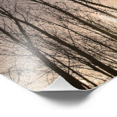 Impression Photo arbres (Coin)