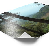 Impression Photo Arbres (Coin)