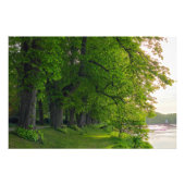 Impression Photo Arbres (Devant)