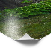 Impression Photo Arbres (Coin)