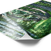 Impression Photo Arbres à flanc de colline (Coin)