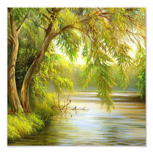 Impression Photo Arbres au-dessus de l'eau (Devant)