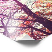 Impression Photo Arbres colorés (Coin)